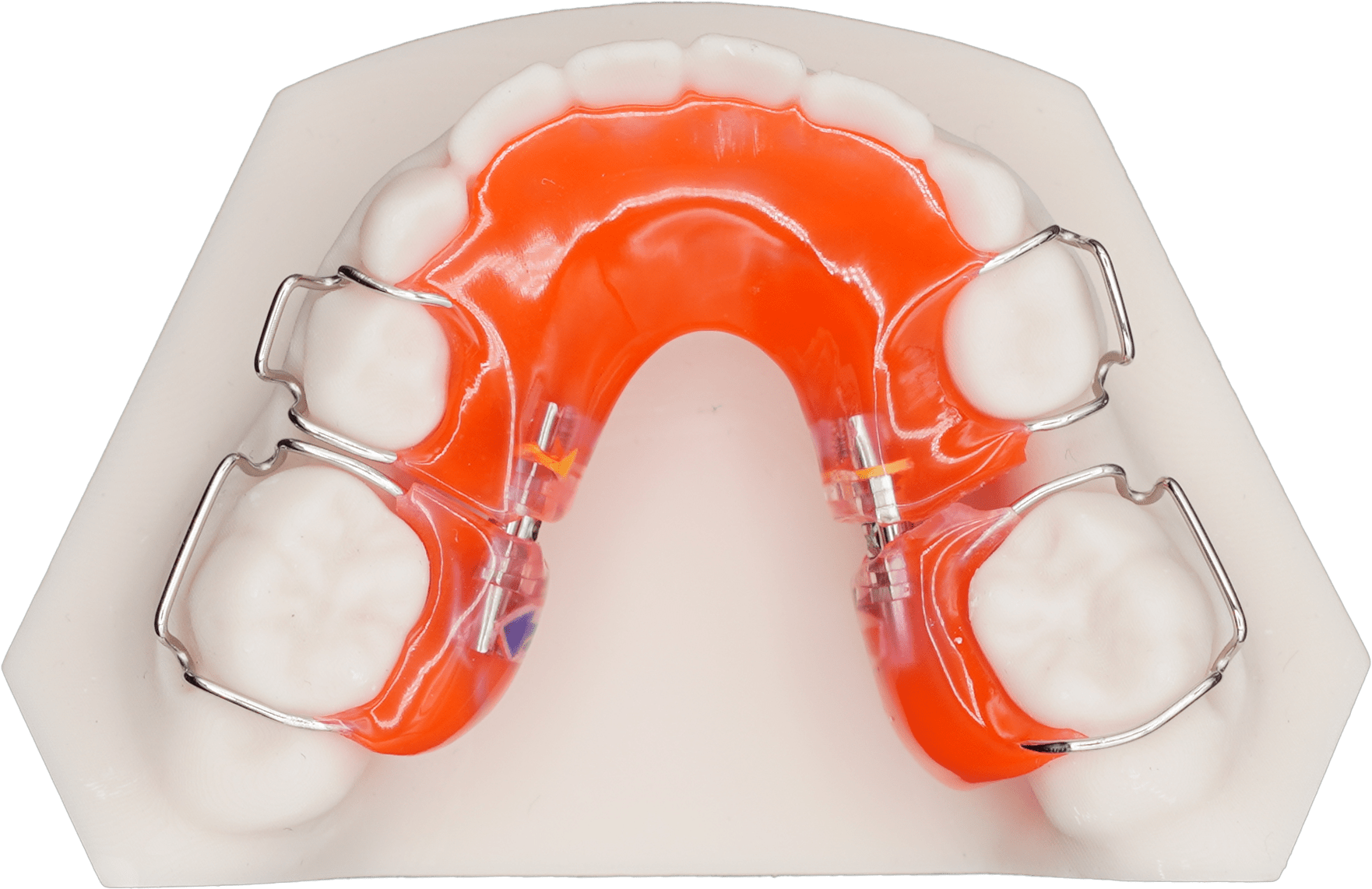 Sagittal Appliance Lower